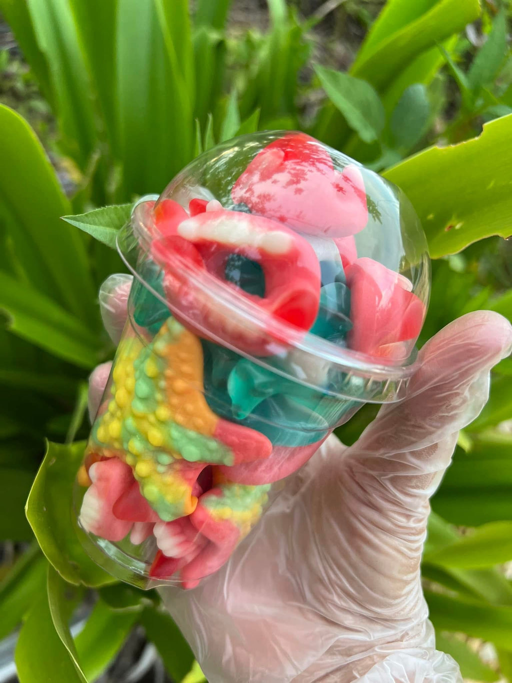 Cuppy Lissy Gummy